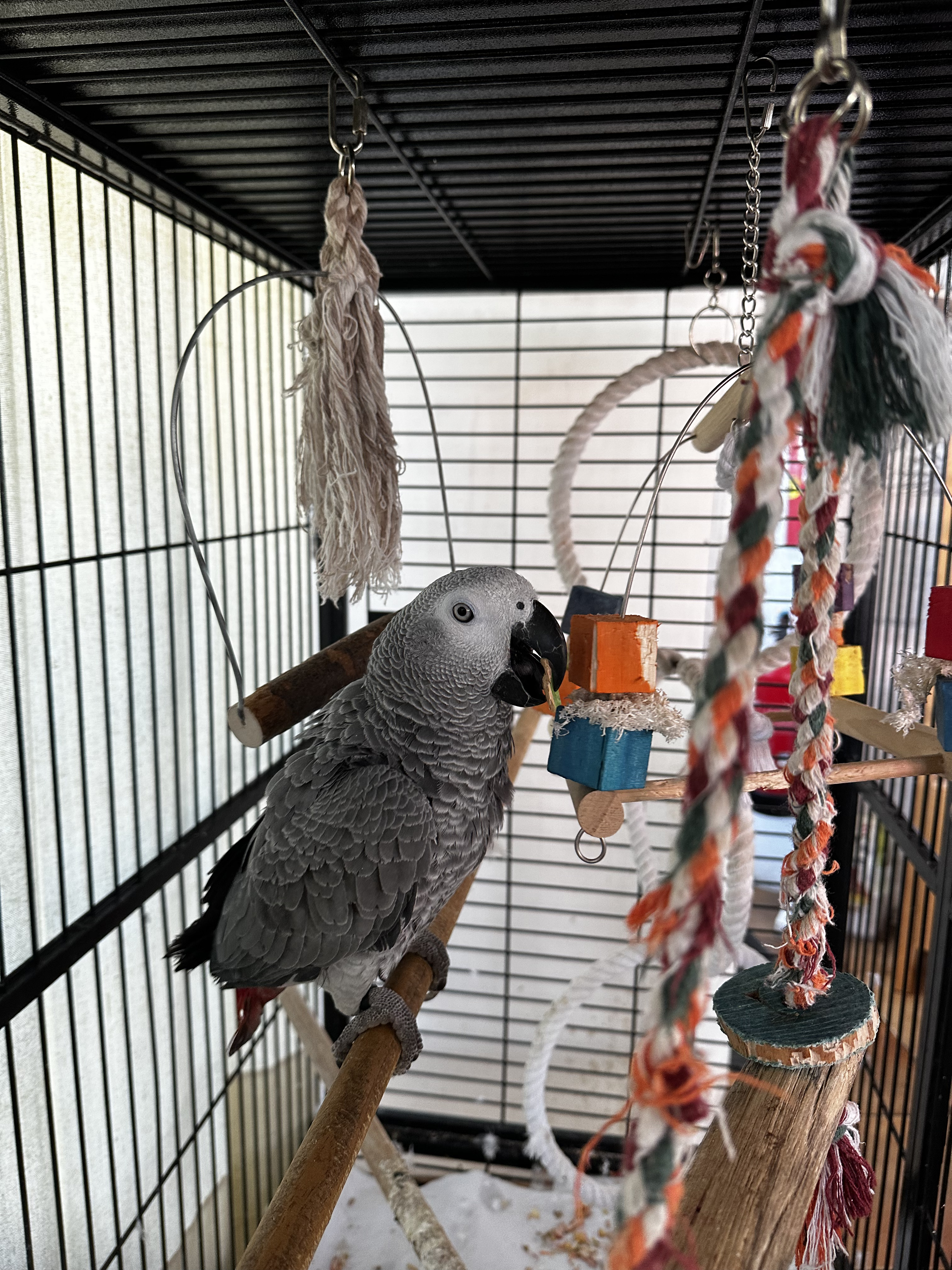 Plat signature du restaurant Portugril à Palavas-les-Flots