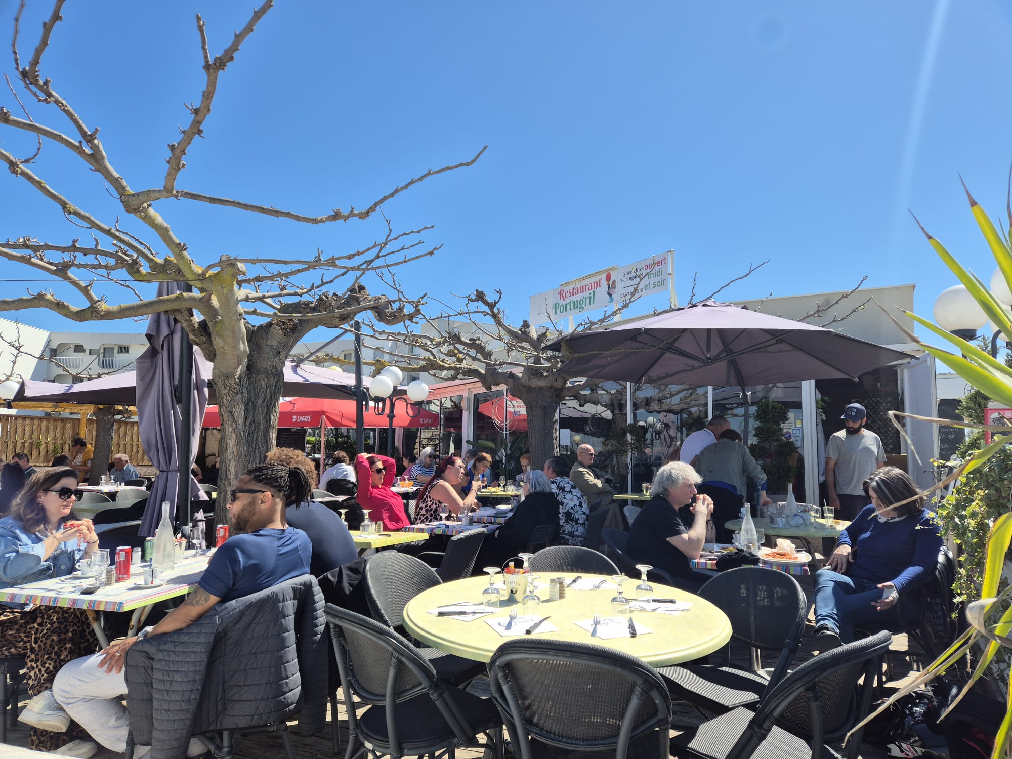 Dressage d'une table – cuisine portugaise Portugril